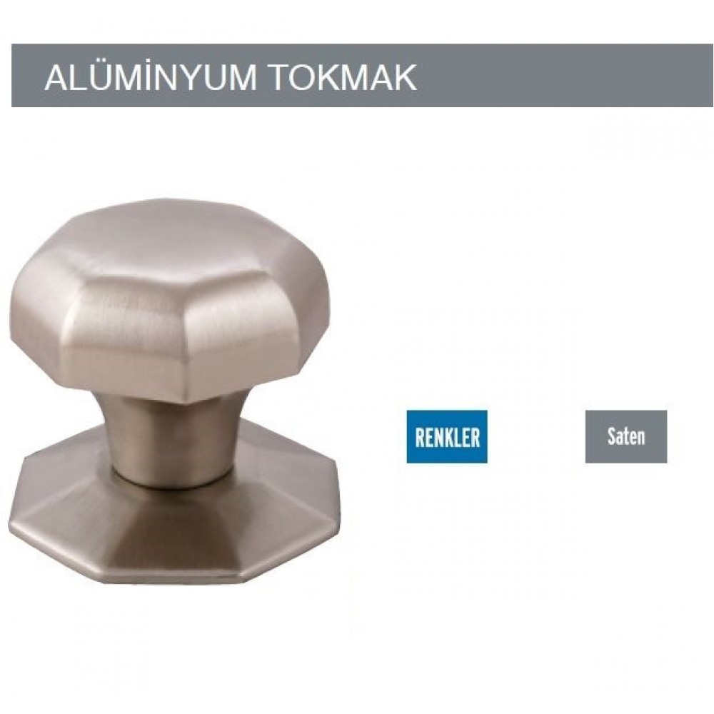KAPI TOKMAGI ( SATEN ÖZCANLAR)